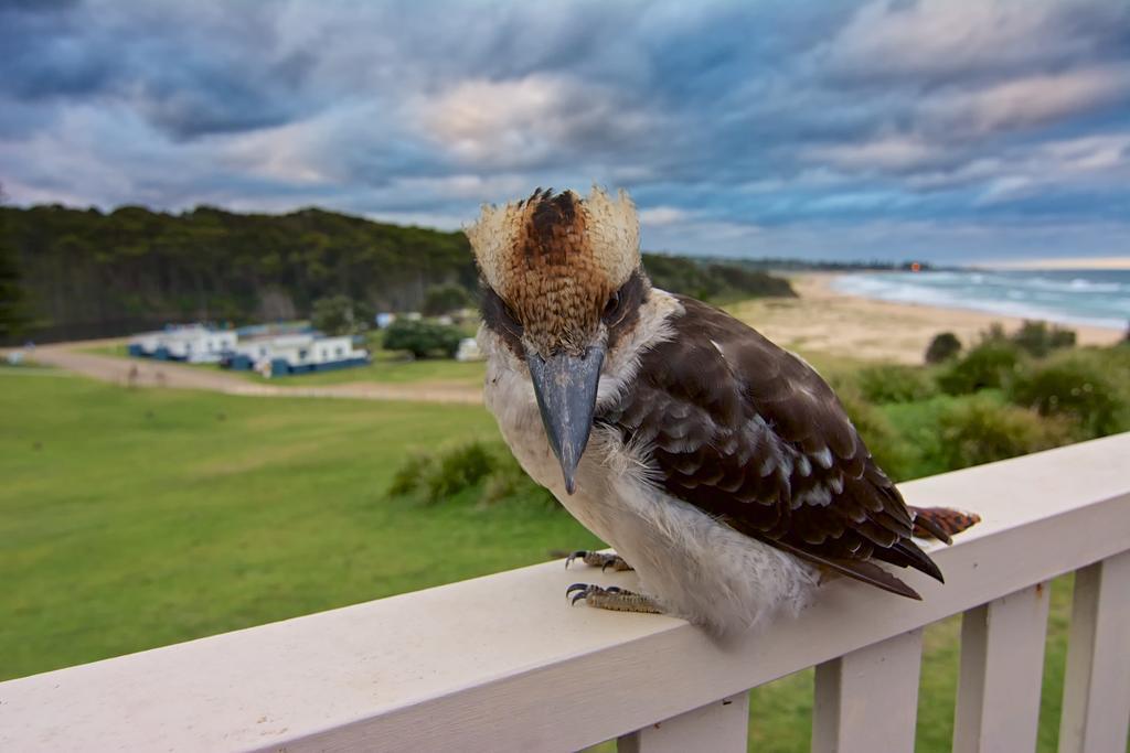 Beachcomber Holiday Park Potato Point Eksteriør bilde